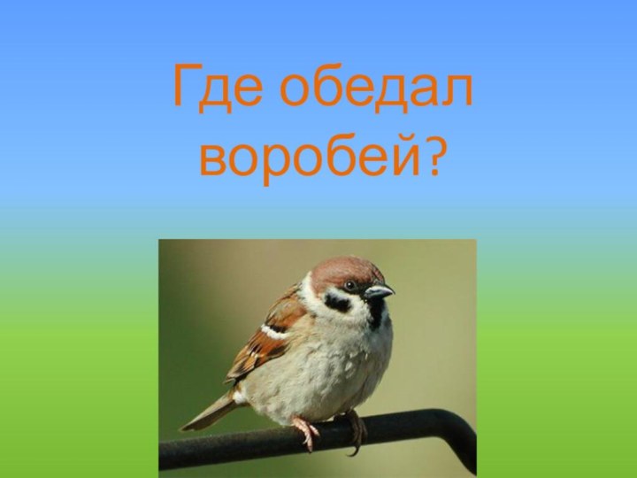 Где обедал воробей?