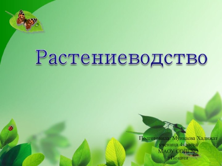 Подготовила: Мункаева Хадижат ученица 4классаМАОУ СОШ №2 гПокачи