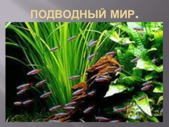 Подводный мир. презентация к занятию по окружающему миру (подготовительная группа) по теме