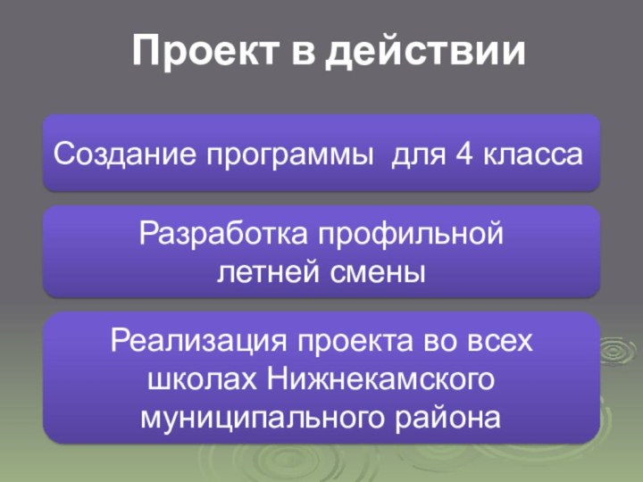 Проект в действииСоздание программы для 4 класса Разработка профильной летней сменыРеализация проекта