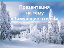 Зимушка - зима презентация к уроку по окружающему миру (старшая группа)