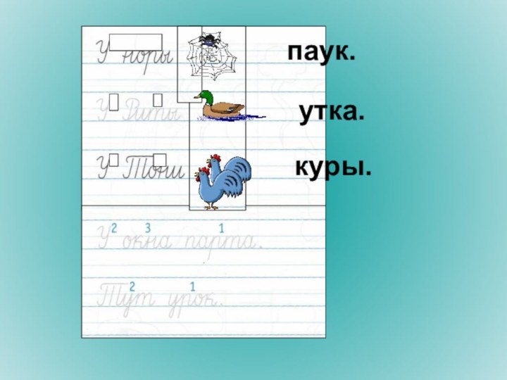 паук.утка.куры.