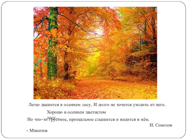 Легко дышится в осеннем лесу. И долго не хочется уходить из него.Хорошо