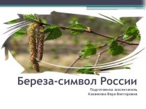Презентация Береза - символ России презентация к занятию по окружающему миру (подготовительная группа) по теме