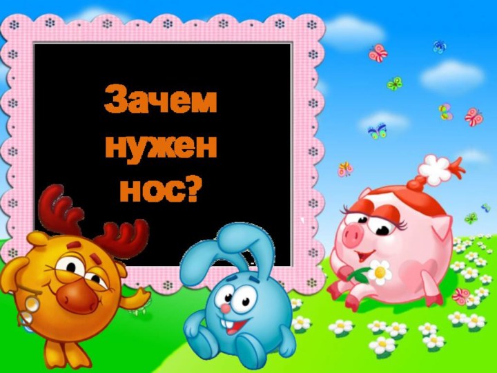 Зачем нужен нос?