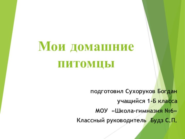 Мои домашние питомцыподготовил Сухоруков Богдан учащийся 1-Б классаМОУ «Школа-гимназия №6»Классный руководитель Будз С.П.