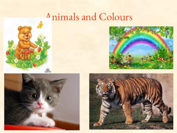 Animals and Colours