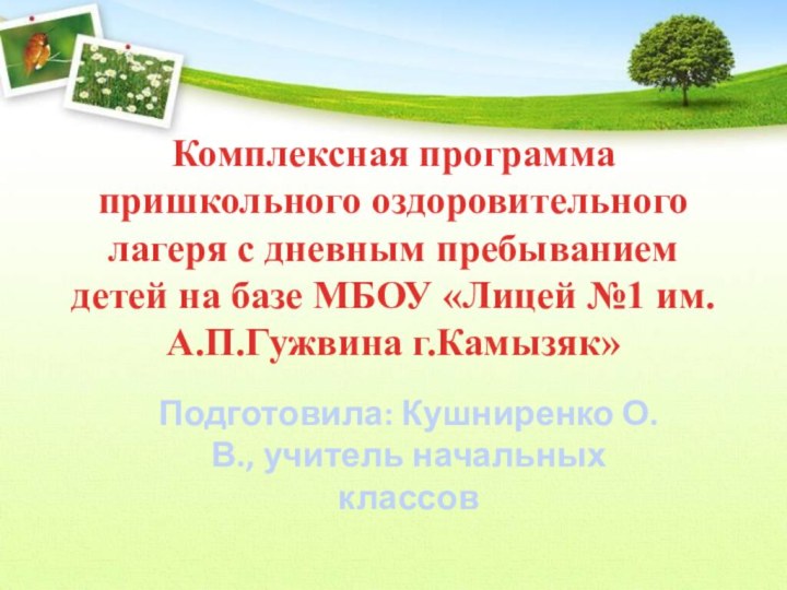 Комплексная программа пришкольного оздоровительного лагеря с дневным пребыванием детей на базе МБОУ