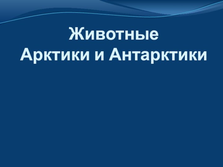 Животные  Арктики и Антарктики