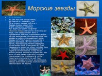 Формирование целостной картины мира. Тема:Животный мир морей и океанов. презентация к уроку по окружающему миру (подготовительная группа)