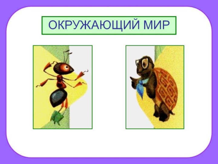 ОКРУЖАЮЩИЙ МИР