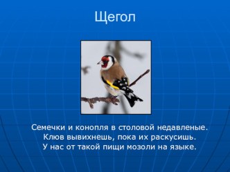 Методическая разработка занятия в группе продлённого дня по теме Поможем птицам зимой. план-конспект занятия (1 класс) по теме