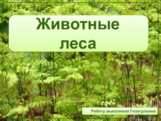 Животные леса презентация для интерактивной доски