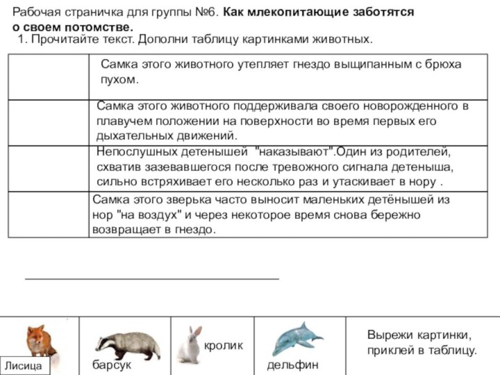 Рабочая страничка для группы №6. Как млекопитающие заботятся о своем потомстве.Вырежи картинки,приклей