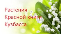 Презентация для старшей группы Растения Красной Книги Кузбасса презентация к уроку по окружающему миру (старшая группа)