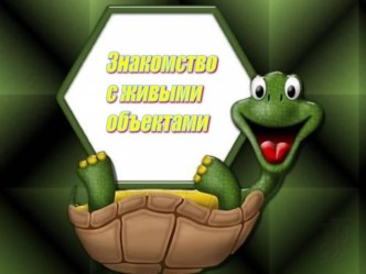 знакомство с живыми объектами презентация к уроку по окружающему миру (старшая группа)