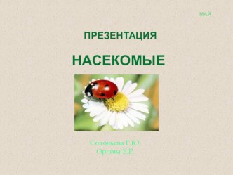 Презентация насекомые презентация к уроку по окружающему миру (средняя группа)