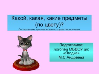 Презентация для детей старшего дошкольного возраста Какой, какая, какие предметы по цвету? (согласование прилагательных с существительными). презентация к занятию по логопедии (подготовительная группа) по теме