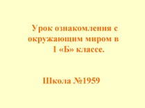 Презентация по окружающему миру. 1 класс. презентация к уроку по окружающему миру (1 класс)