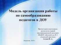 Модель организации работы по самообразованию педагогов ДОУ презентация