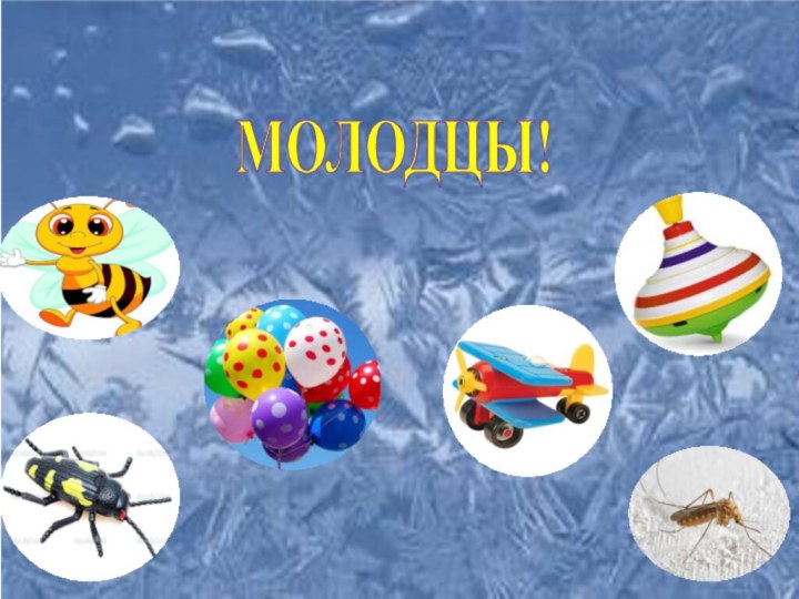 МОЛОДЦЫ!