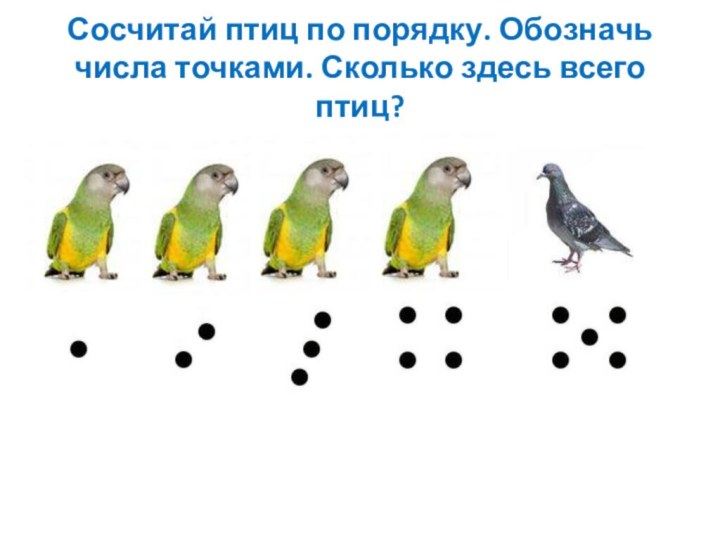 Сосчитай птиц по порядку. Обозначь числа точками. Сколько здесь всего птиц?