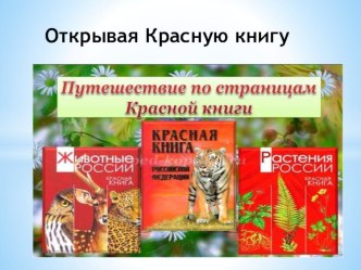 Проект в подготовительной группе Открывая Красную Книгу. Цель проекта: познакомить детей с Красной Книгой РФ, с видами редких (исчезающих) животных, птиц, растений, рыб; с исчезающими видами в Николаевском районе Хабаровского края; с работой заповедник пл