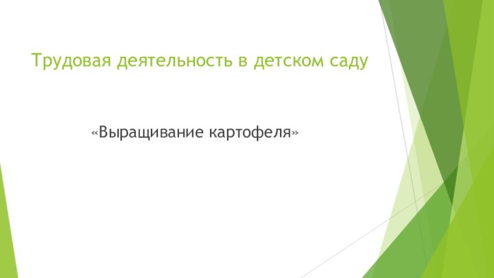 Трудовая деятельность в детском саду       «Выращивание картофеля»