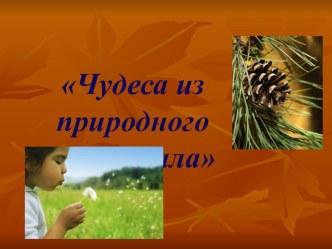 Роль работы с природным материалом для всестороннего развития детей презентация к уроку по конструированию, ручному труду по теме