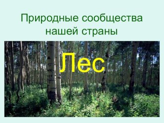 Лес. Растения. презентация к уроку (окружающий мир, 2 класс) по теме