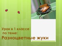 Презентация к уроку Разноцветные жуки ИЗО 1 класс презентация к уроку по изобразительному искусству (изо, 1 класс) по теме