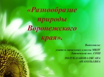 Презентация по окружающему миру Разнообразие природы Воронежского края презентация к уроку по окружающему миру (3 класс)