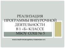 Отчёт о реализации программы внеурочной деятельности в 1 Б классе МБОУ СОШ № 5 п. Октябрьского Красноармейсого района Краснодарского края презентация к уроку (1 класс)