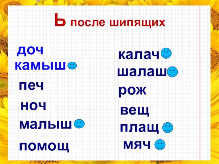 Ь после шипящихдочкамышпечночмалышпомощкалачшалашрожвещплащмячьььььь