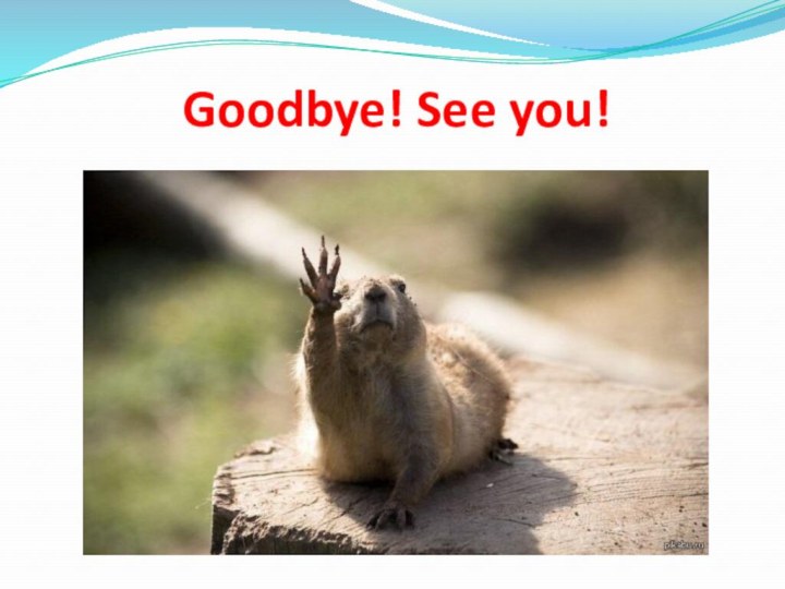 Goodbye! See you!