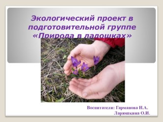 Презентация экологического проекта Природа в ладошке презентация к уроку (подготовительная группа)