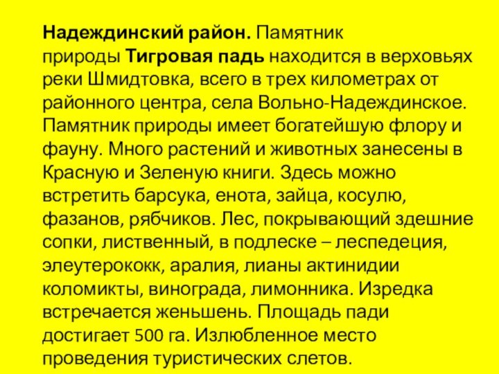 Надеждинский район. Памятник природы Тигровая падь находится в верховьях реки Шмидтовка, всего в трех километрах