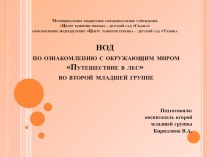 Ознакомлению с окружающим миром Путешествие в лес во второй младшей группе. презентация к уроку по окружающему миру (младшая группа)