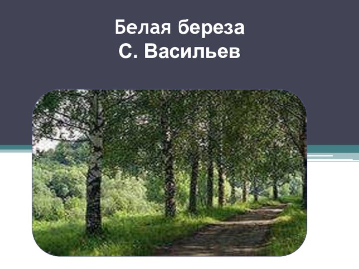 Белая береза С. Васильев