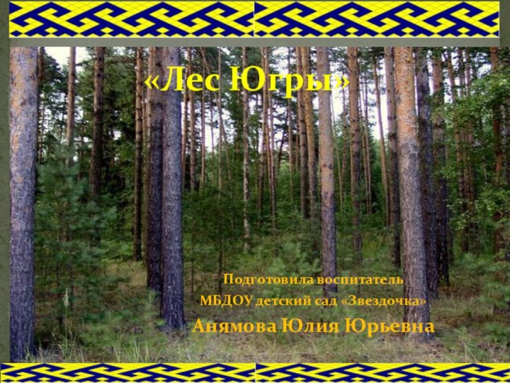 Подготовила воспитатель МБДОУ детский сад «Звездочка» Анямова Юлия Юрьевна«Лес Югры»