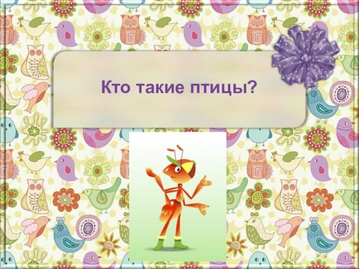 Кто такие птицы?