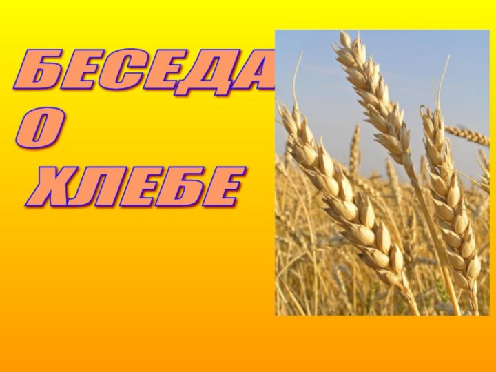 БЕСЕДА  О   ХЛЕБЕ