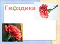 словарные слова презентация к уроку русского языка (3 класс)