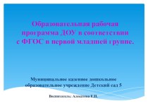 Презентация  Образовательная программа воспитателя первой младшей группы рабочая программа (младшая группа)