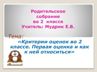 Критерии и нормы оценивания в начальной школе статья (2 класс)