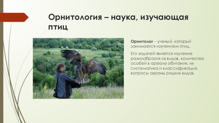 Орнитология – наука, изучающая птицОрнитолог – ученый, который занимается изучением птиц. Его