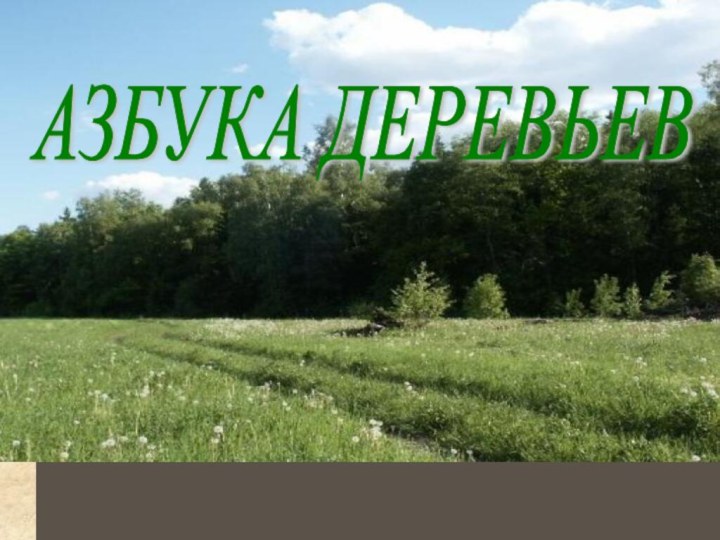 АЗБУКА ДЕРЕВЬЕВ