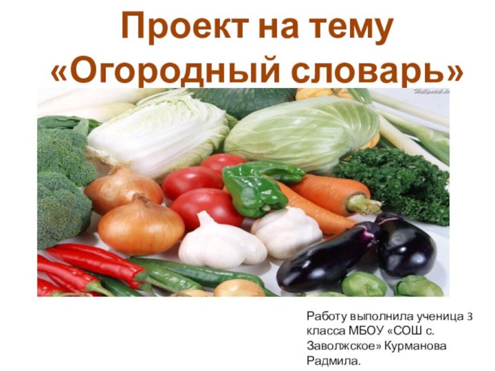 Проект на тему «Огородный словарь»Работу выполнила ученица 3 класса МБОУ «СОШ с.Заволжское» Курманова Радмила.