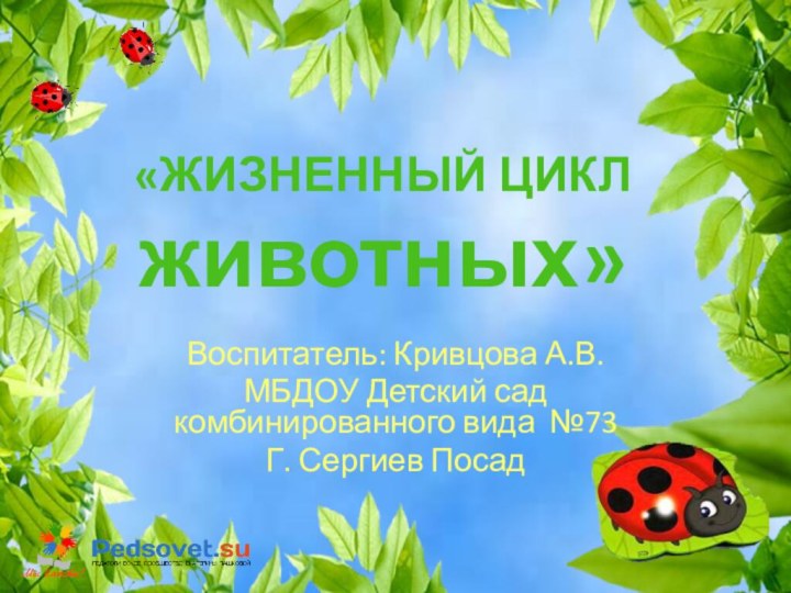 «ЖИЗНЕННЫЙ ЦИКЛ животных»Воспитатель: Кривцова А.В.МБДОУ Детский сад комбинированного вида №73 Г. Сергиев Посад