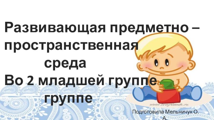 Развивающая предметно –       пространственная